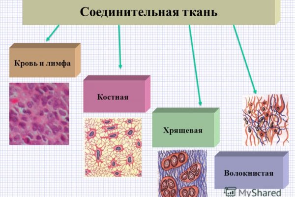 Что такое кракен в даркнете