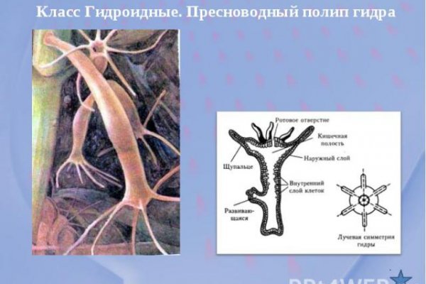 Рабочие ссылки на кракен 2025