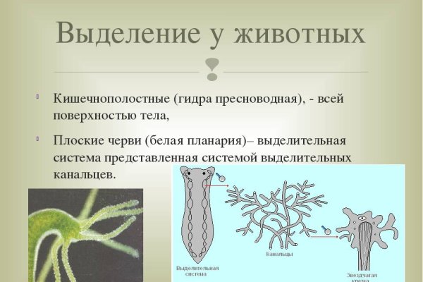 Кракен сайт работает